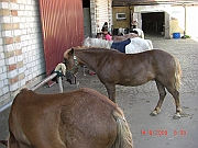 CIMG1758