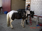 CIMG1761