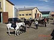 CIMG1774