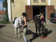 CIMG1775