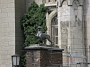 CIMG1547