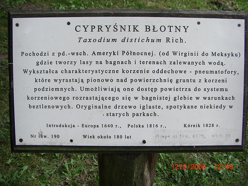 CIMG1557.JPG