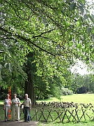 CIMG1555