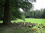 CIMG1556