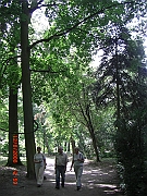 CIMG1574