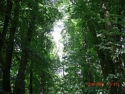 CIMG1585