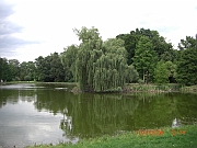 arboretum