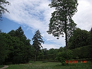 CIMG1447