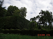 CIMG1449
