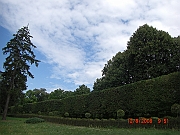 CIMG1451