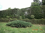 CIMG1453
