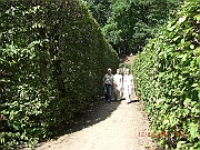 CIMG1479