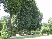 CIMG1495
