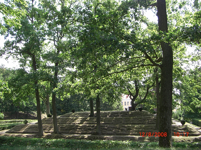 CIMG1471.JPG