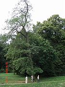 CIMG1450