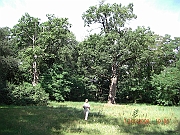 CIMG1458