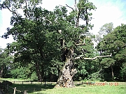 CIMG1463