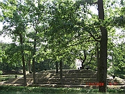 CIMG1471