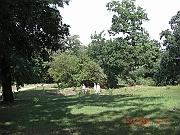 CIMG1473