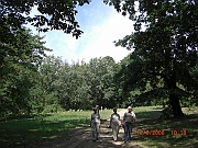 CIMG1474