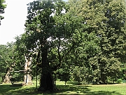 IMG_0013