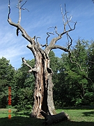 park
