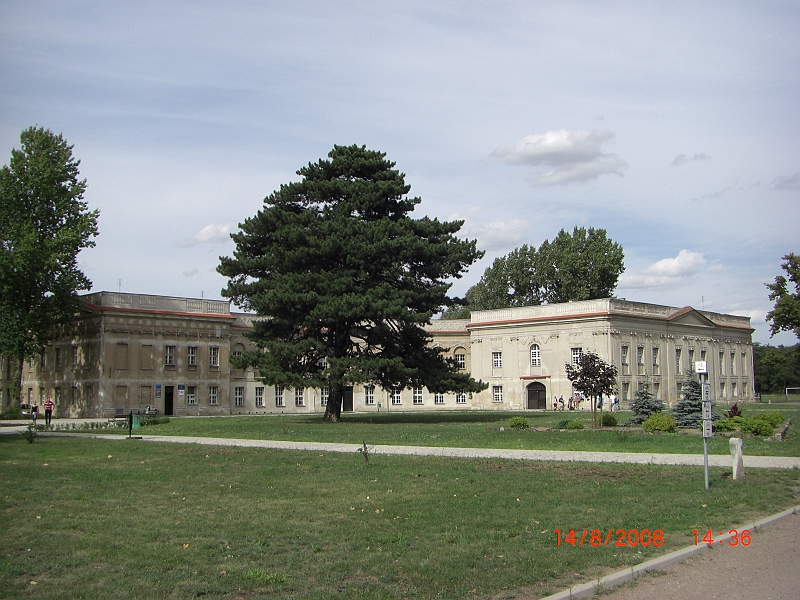 CIMG1864.JPG