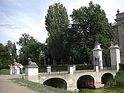 CIMG1865