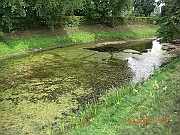 CIMG1901