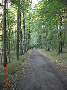 CIMG2358