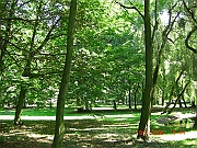 CIMG2259