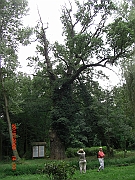 CIMG2523