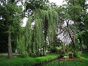 CIMG2540