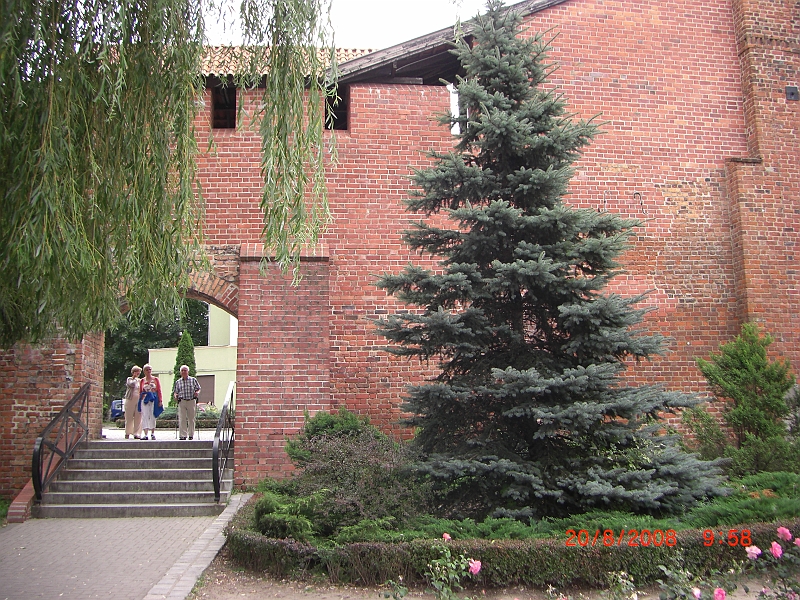 CIMG2377.JPG