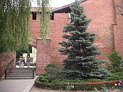 CIMG2377